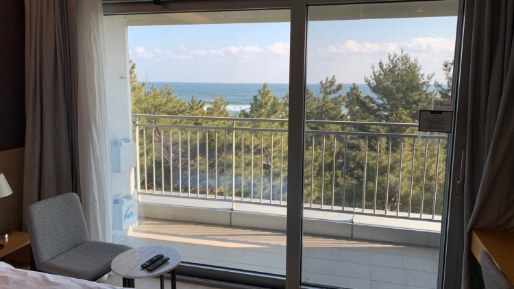 세인트존스 펫룸 01