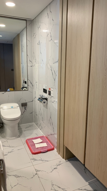 세인트존스 펫룸 어메니티 02