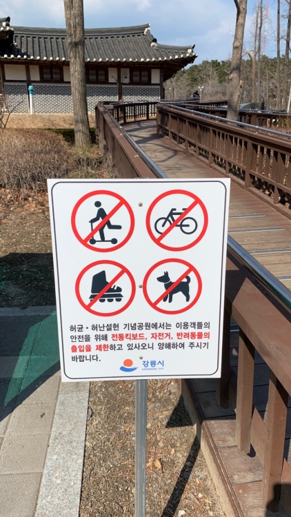 반려견 동반이 안 되는 강릉 관광지 반려견 동반이 안되는 강릉 관광지