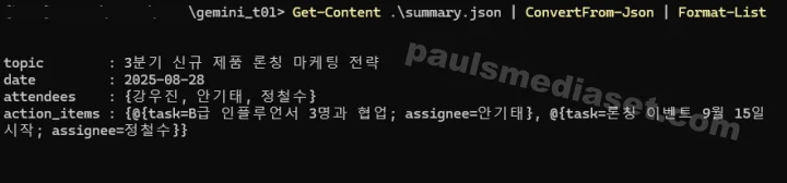 생성된 JSON 파일 검증